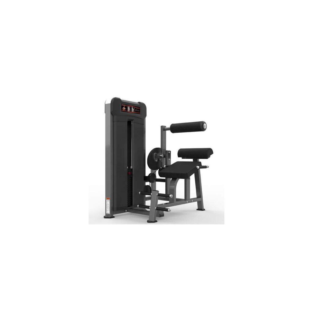Máquina Extensión de Espalda – Back Extension – DalGym